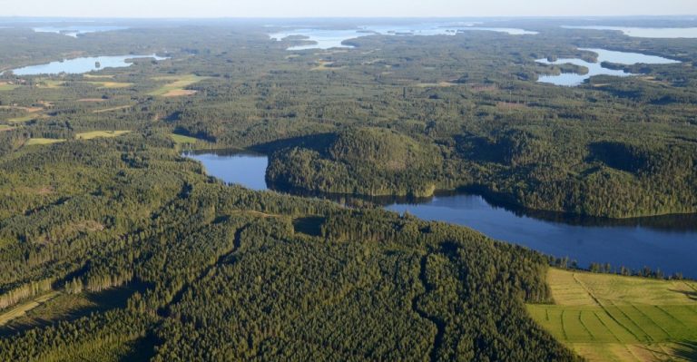 Paluulento Vesannon rajoilta