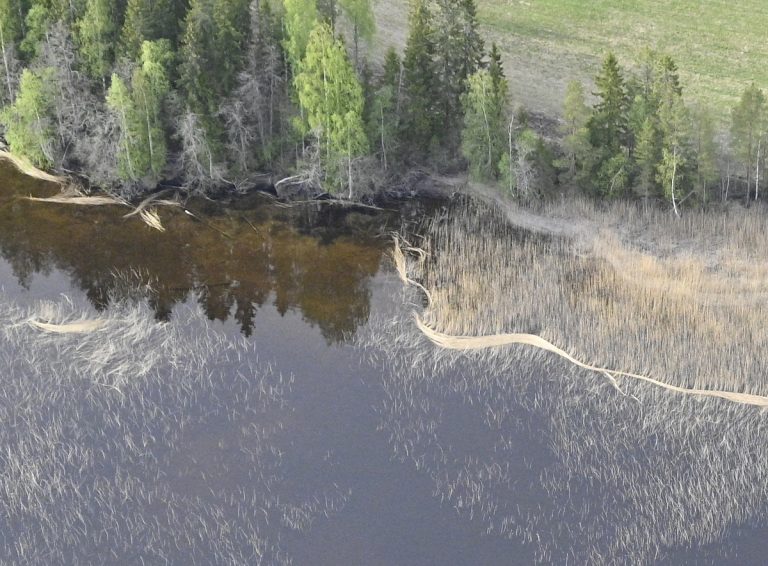 Lento Viitasaaren Karhukorven liepeillä 15.5.2026
